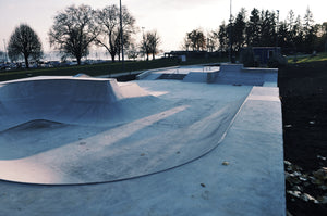 LGS Skatepark Prangins